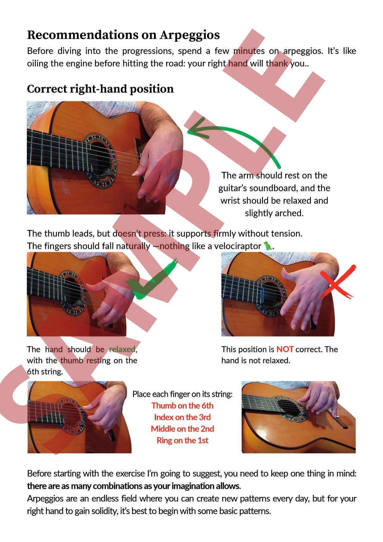 23 Progressions – Flamenco Guitar - Imagen 3