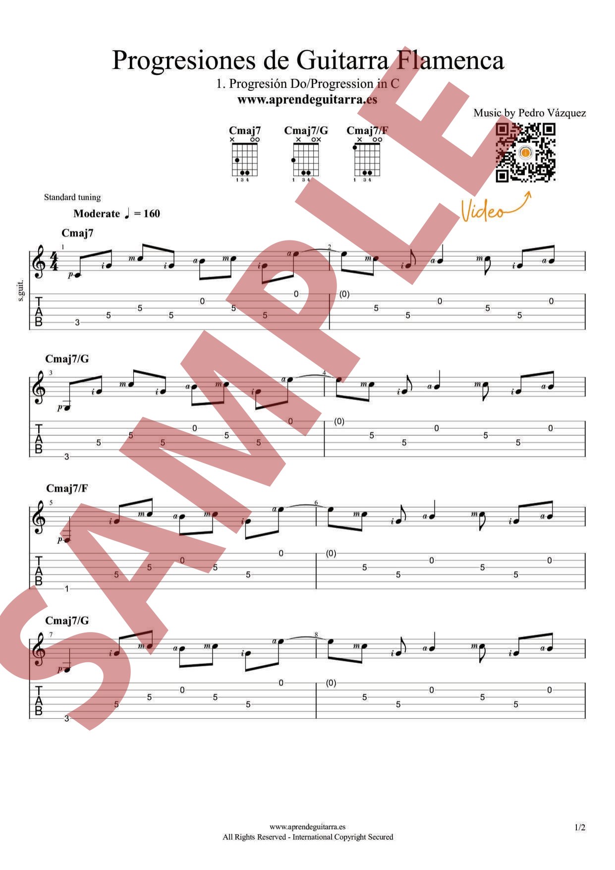 23 Progressions – Flamenco Guitar - Imagen 4